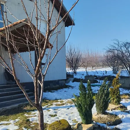 Summer House